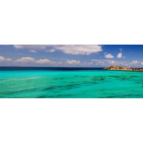 Caribbean Waters Black Modern Wood Framed Art Print by Burdick, Chuck