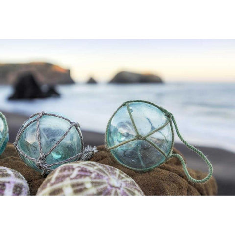 Crescent Beach Shells 16 White Modern Wood Framed Art Print by Blaustein, Alan