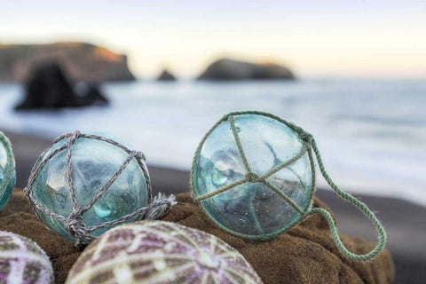 Crescent Beach Shells 16 Black Ornate Wood Framed Art Print with Double Matting by Blaustein, Alan