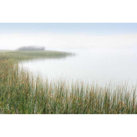 Crescent Beach Calm 2 Gold Ornate Wood Framed Art Print with Double Matting by Blaustein, Alan