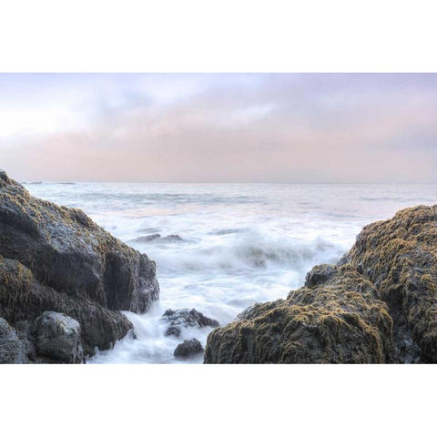 Crescent Beach Waves 3 Gold Ornate Wood Framed Art Print with Double Matting by Blaustein, Alan