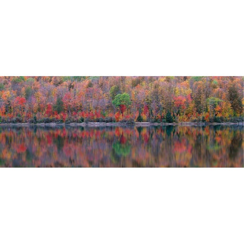 Upson Lake Reflection White Modern Wood Framed Art Print by Becia, Jim