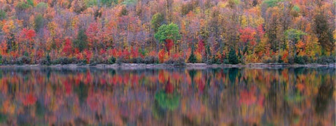 Upson Lake Reflection Black Ornate Wood Framed Art Print with Double Matting by Becia, Jim