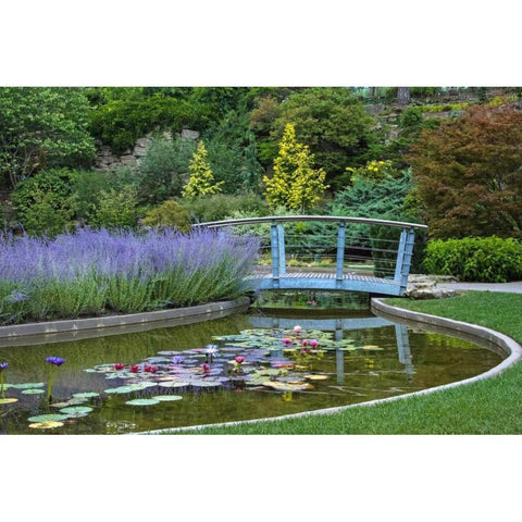 Serenity Gold Ornate Wood Framed Art Print with Double Matting by Burdick, Chuck