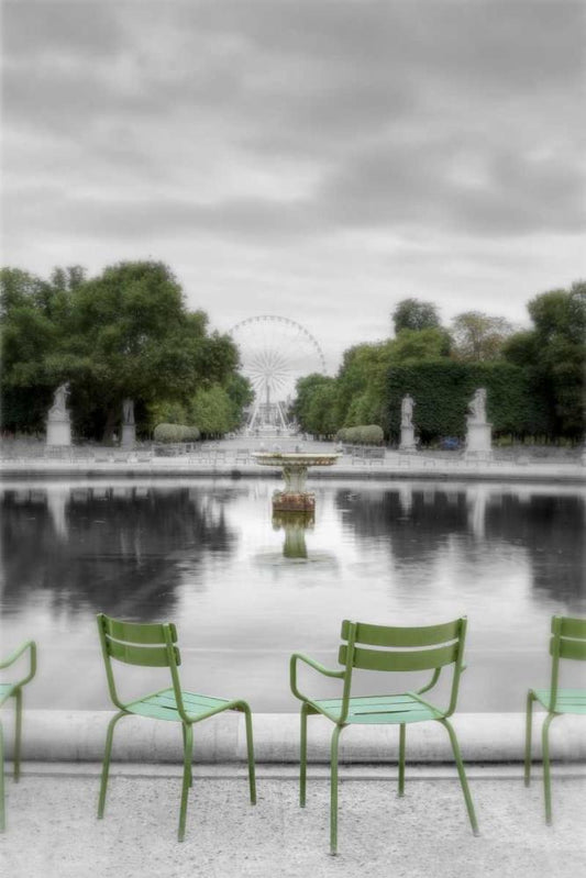 Image Only