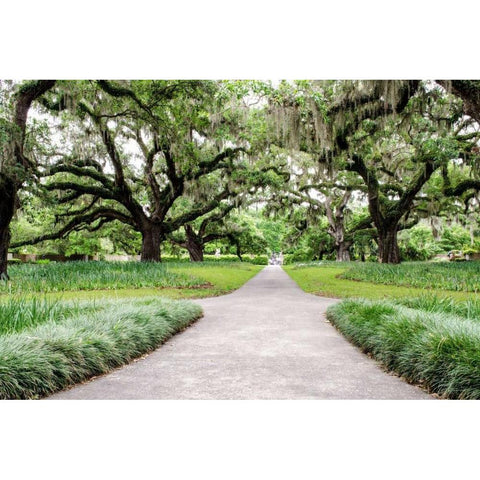 Garden Entrance Black Modern Wood Framed Art Print by Burdick, Chuck