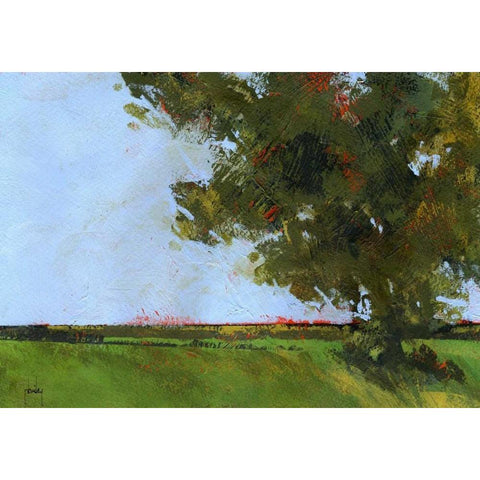Autumn Oak and Empty Fields Black Modern Wood Framed Art Print by Bailey, Paul