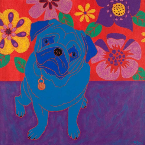 Perspicacious Pug White Modern Wood Framed Art Print by Bond, Angela