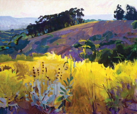 Late Sun, Eucalyptus on the Ridge White Modern Wood Framed Art Print with Double Matting by Burtt, Marcia