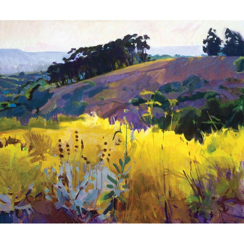 Late Sun, Eucalyptus on the Ridge Black Modern Wood Framed Art Print by Burtt, Marcia