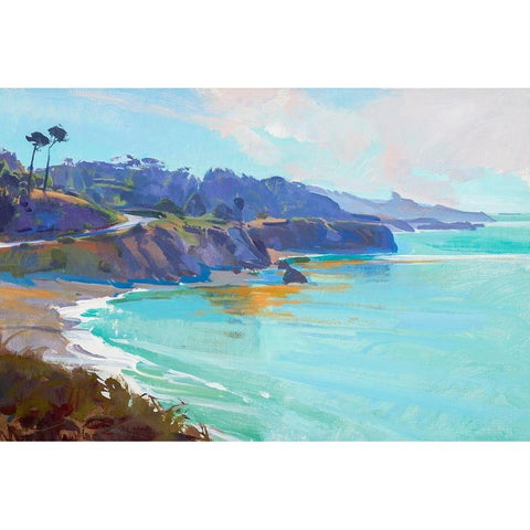 Mendocino Overlook Black Modern Wood Framed Art Print with Double Matting by Burtt, Marcia