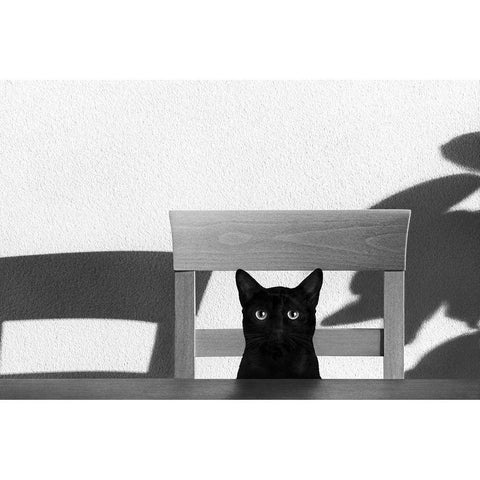 Where Is My Coffee? Black Modern Wood Framed Art Print by Bertelli, Jon