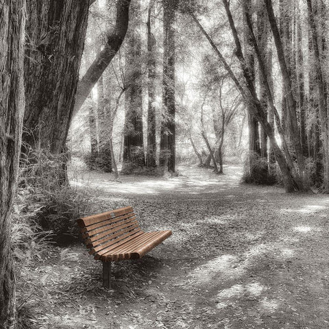 Old Mill Park Black Modern Wood Framed Art Print with Double Matting by Blaustein, Alan