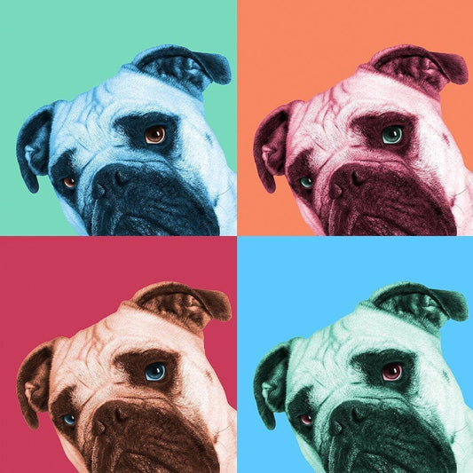 Image Only