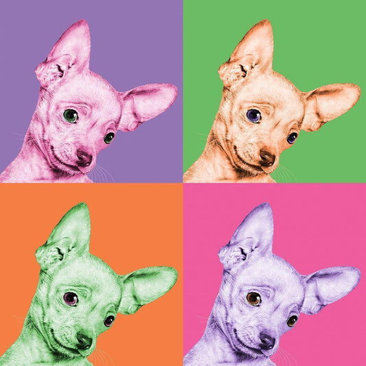 Image Only
