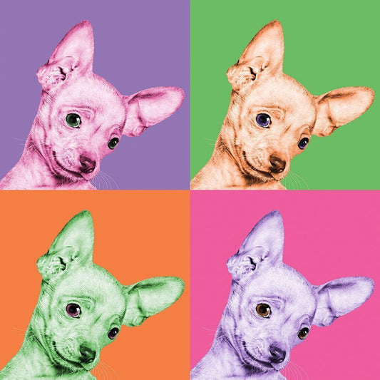 Image Only