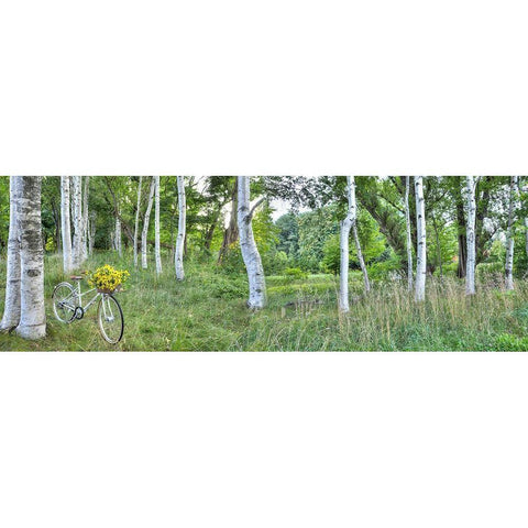 Sunflower Bike Ride No.4 White Modern Wood Framed Art Print by Blaustein, Alan