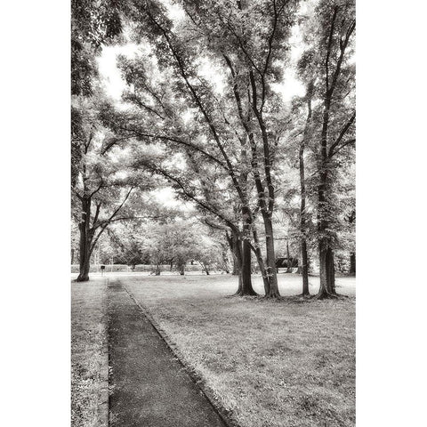 Garden Pathway No.1 Black Modern Wood Framed Art Print with Double Matting by Blaustein, Alan