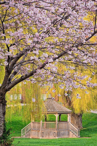 Quiet Retreat White Modern Wood Framed Art Print with Double Matting by Burdick, Chuck