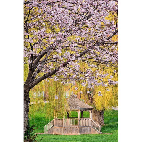 Quiet Retreat Black Modern Wood Framed Art Print with Double Matting by Burdick, Chuck