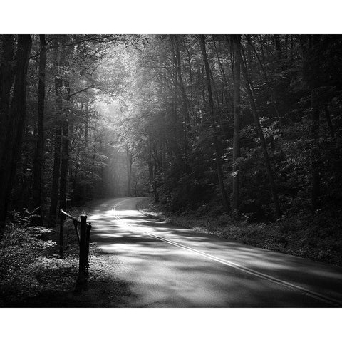 Tremont Road, Smoky Mountains White Modern Wood Framed Art Print by Bell, Nicholas