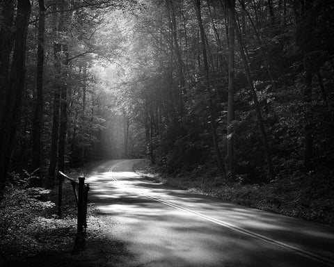 Tremont Road, Smoky Mountains Black Ornate Wood Framed Art Print with Double Matting by Bell, Nicholas