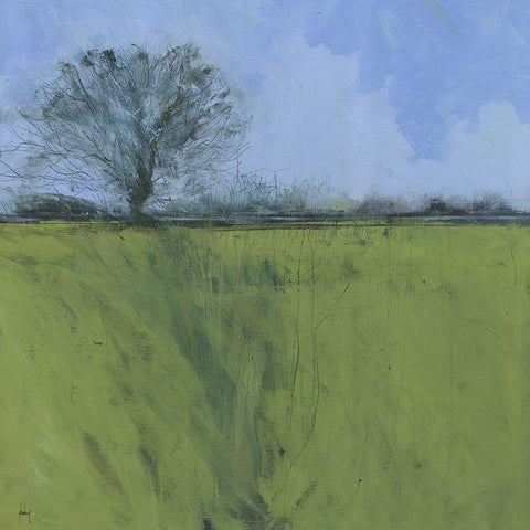 Fenland Morning White Modern Wood Framed Art Print by Bailey, Paul