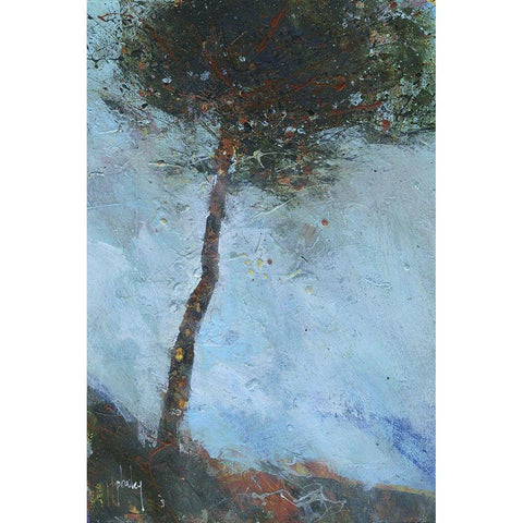 Lone Moorland Pine Black Modern Wood Framed Art Print by Bailey, Paul