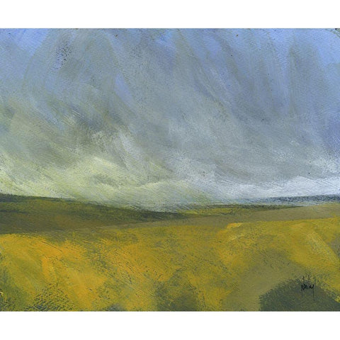Open Moor Black Modern Wood Framed Art Print with Double Matting by Bailey, Paul