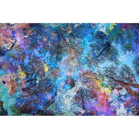 Dreaming up to the Trees White Modern Wood Framed Art Print by Broom, Michael