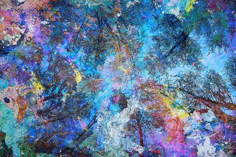 Dreaming up to the Trees White Modern Wood Framed Art Print with Double Matting by Broom, Michael