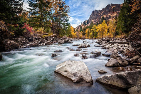Teton River Rush White Modern Wood Framed Art Print with Double Matting by Broom, Michael