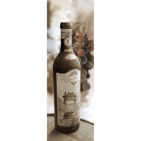 Montepulciano Vineyard #1 Black Modern Wood Framed Art Print by Blaustein, Alan