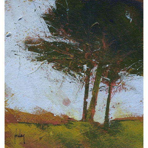 Tair Coeden Black Modern Wood Framed Art Print with Double Matting by Bailey, Paul