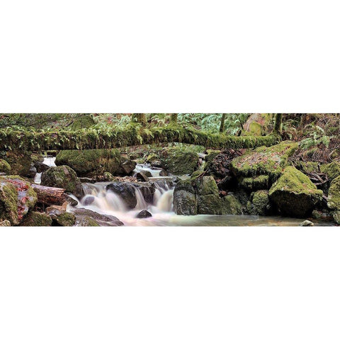 Canyon Falls No. 11 White Modern Wood Framed Art Print by Blaustein, Alan