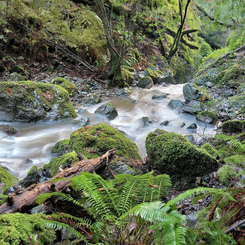 Canyon Falls No. 18 Black Modern Wood Framed Art Print with Double Matting by Blaustein, Alan