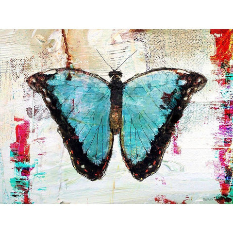 Blue Morpho 1.0 Black Modern Wood Framed Art Print with Double Matting by Baran, John