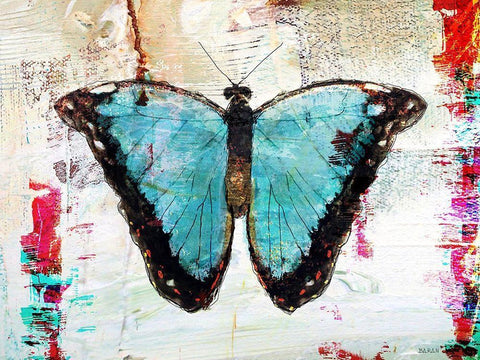 Blue Morpho 1.0 White Modern Wood Framed Art Print with Double Matting by Baran, John