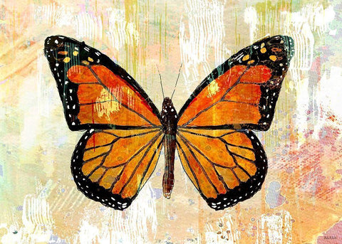 Monarch No. 1.0 Black Ornate Wood Framed Art Print with Double Matting by Baran, John