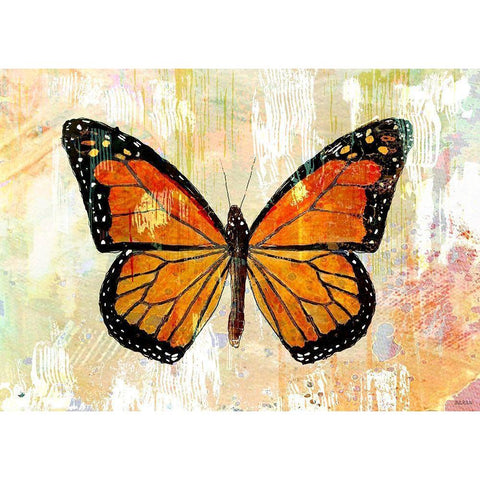 Monarch No. 1.0 Gold Ornate Wood Framed Art Print with Double Matting by Baran, John