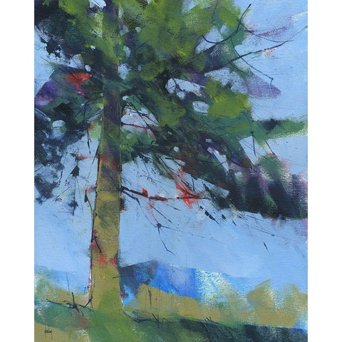 Gilfach Pine Black Modern Wood Framed Art Print by Bailey, Paul