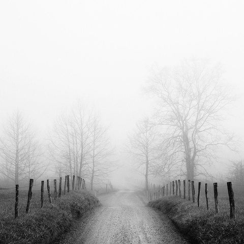 Sparks Lane in Fog Black Modern Wood Framed Art Print by Bell, Nicholas