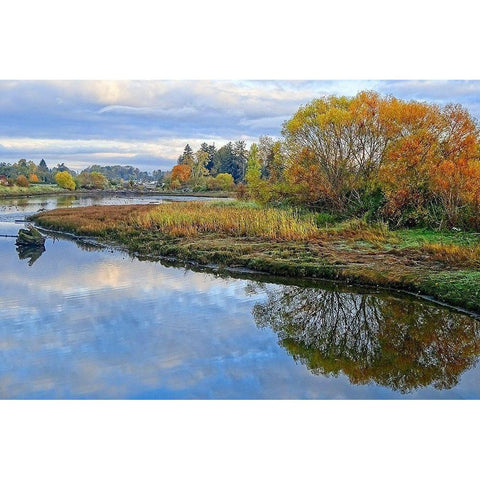 Estuary Autumn White Modern Wood Framed Art Print by Burdick, Chuck