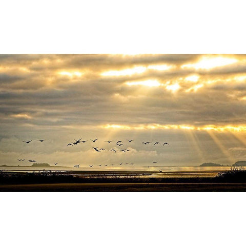 Sunrise on The Estuary Gold Ornate Wood Framed Art Print with Double Matting by Burdick, Chuck