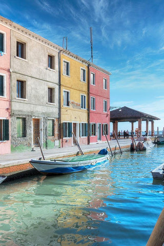 Bruano #11 Black Ornate Wood Framed Art Print with Double Matting by Blaustein, Alan