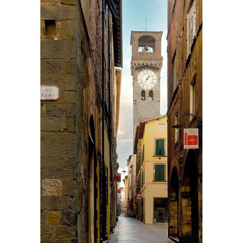 Lucca #1 White Modern Wood Framed Art Print by Blaustein, Alan