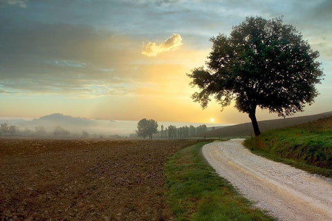 Tuscan Farm Road #1 Black Ornate Wood Framed Art Print with Double Matting by Blaustein, Alan