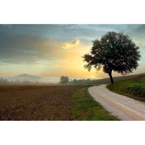 Tuscan Farm Road #1 Black Modern Wood Framed Art Print with Double Matting by Blaustein, Alan