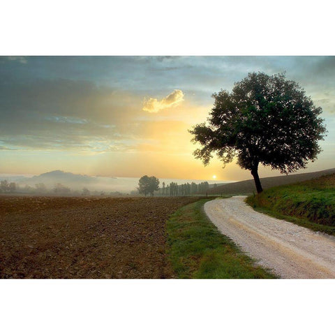 Tuscan Farm Road #1 Gold Ornate Wood Framed Art Print with Double Matting by Blaustein, Alan