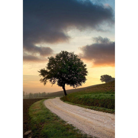 Tuscan Farm Road Sunrise #2 Gold Ornate Wood Framed Art Print with Double Matting by Blaustein, Alan